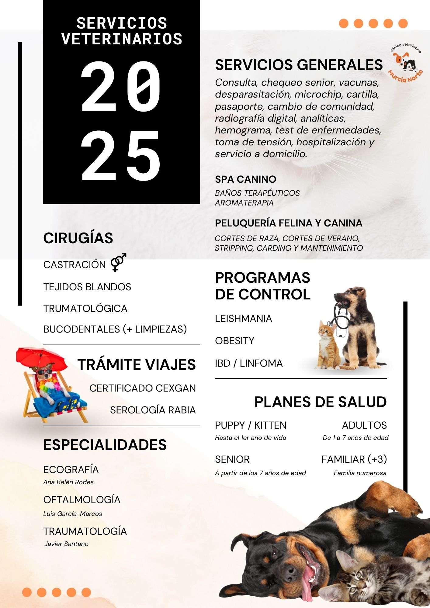 Servicios Veterinarios Clinica veterinaria Murcia